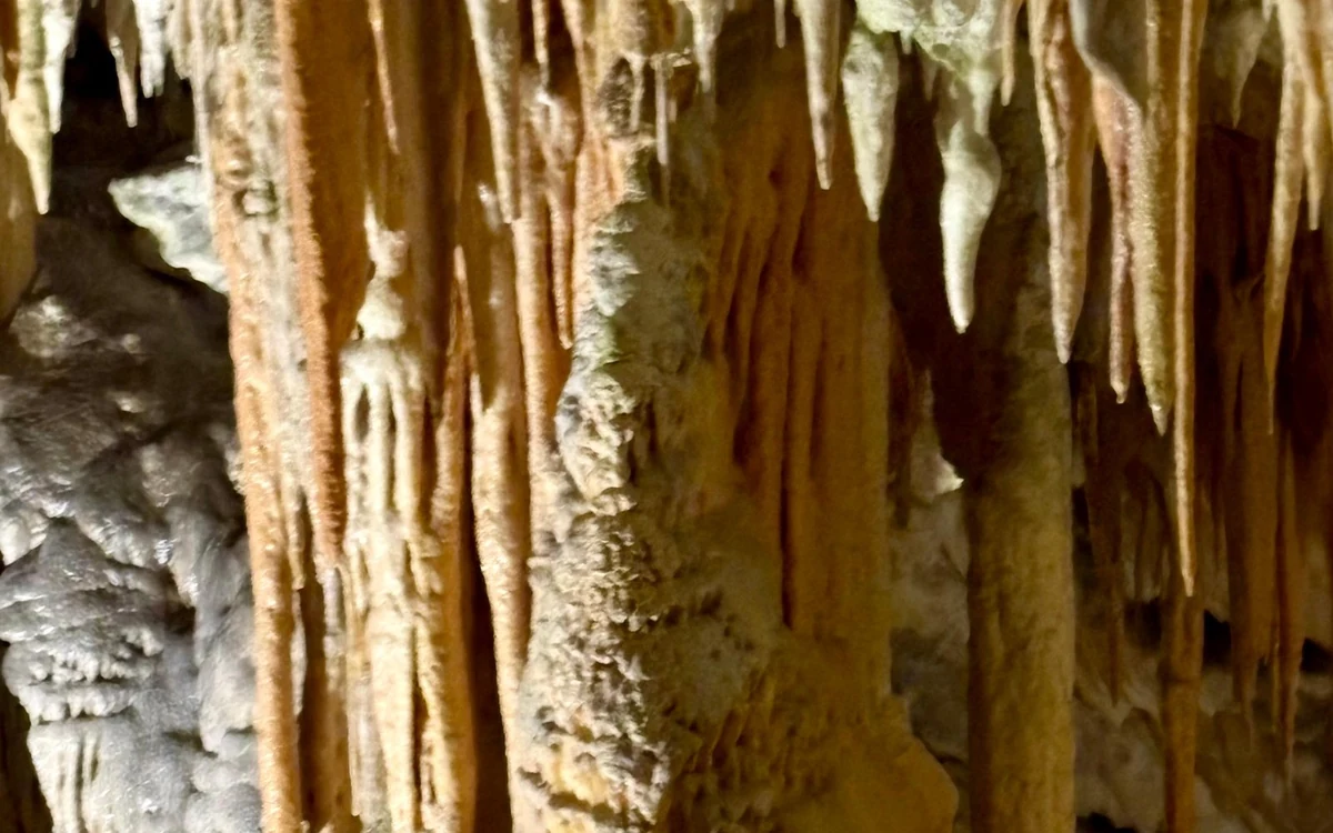 Visitors in jackets on the lit walkway among the formations inside Postojna Cave