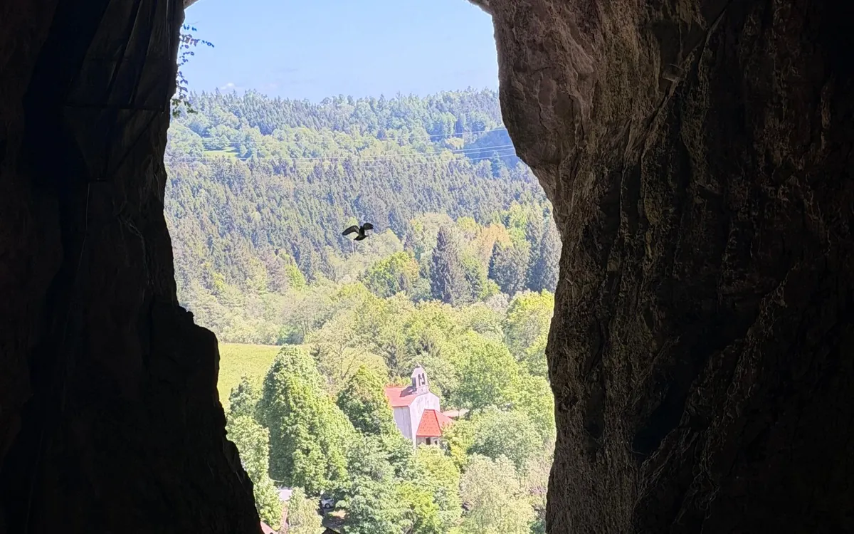 Stalactite and stalagmite formations inside Postojna Cave in Slovenia
