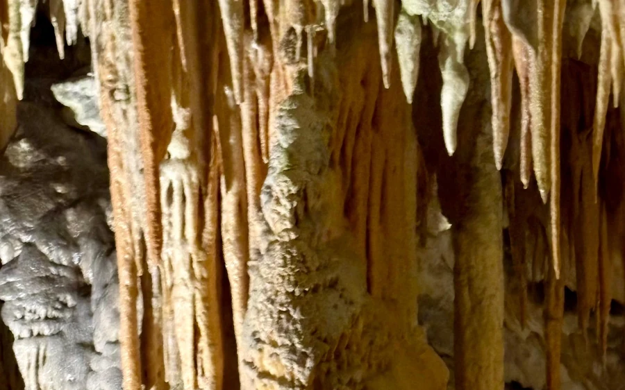 Stalactites and stalagmites lit in a hall of Postojna Cave
